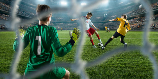 的薪资管理 的薪资管理