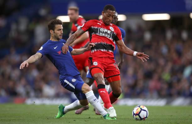 职业运动员 职业运动员