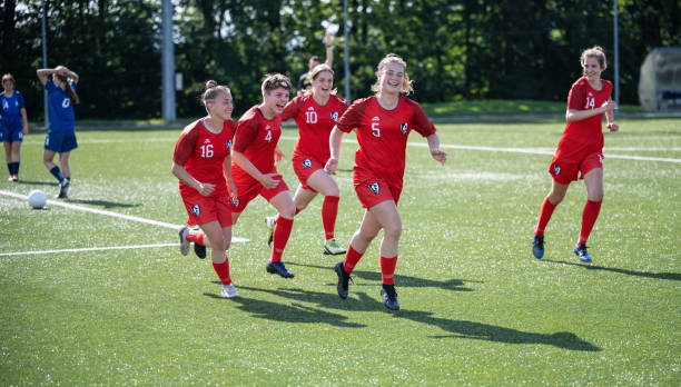 他们的状态 他们的状态